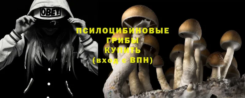 гидра вход  Заинск  Галлюциногенные грибы Magic Shrooms 